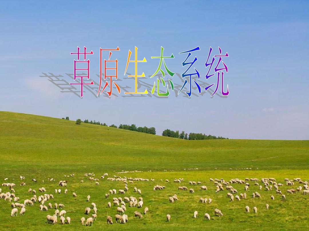 “十四五”时期我国草原生态持续改善 健康和亚健康草原面积增加到27亿亩